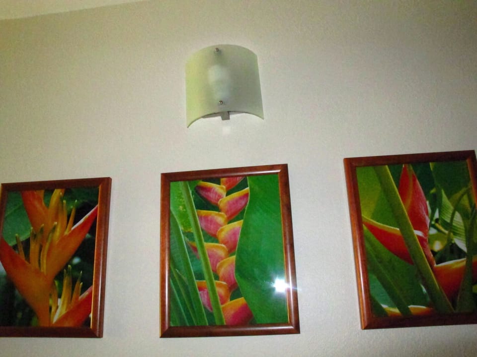 Photographs in Hallway - Photos Shot by Owner at Maui's Botanical Gardens