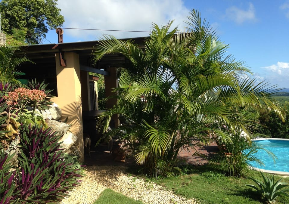 Path to pool bar
