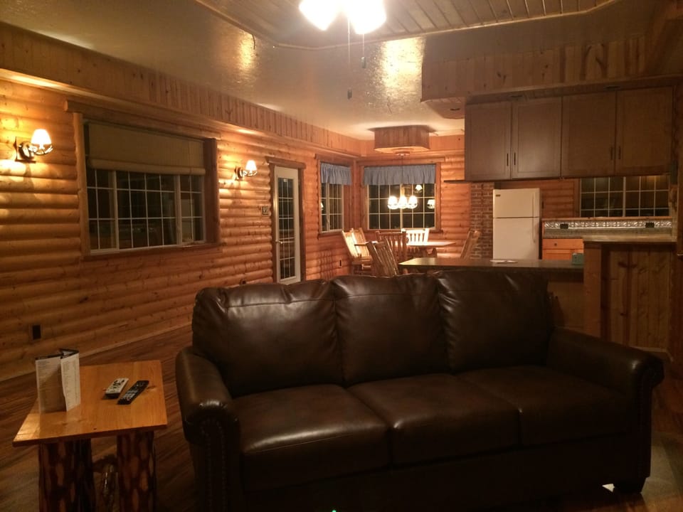 Living Room Open to Kitchen