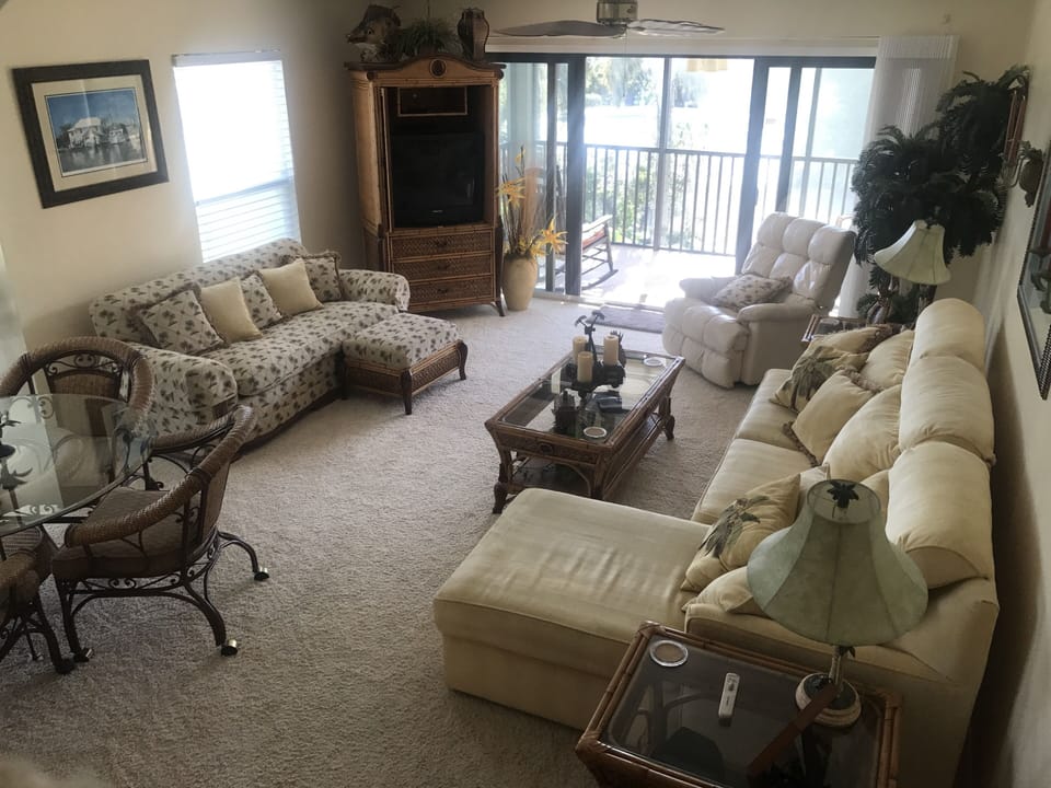 Living room has a fold out sofa