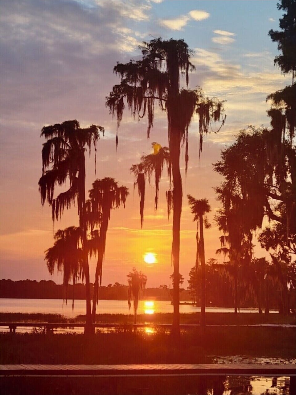 Gorgeous sunsets