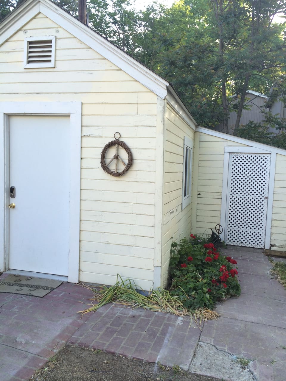 View from kitchen window