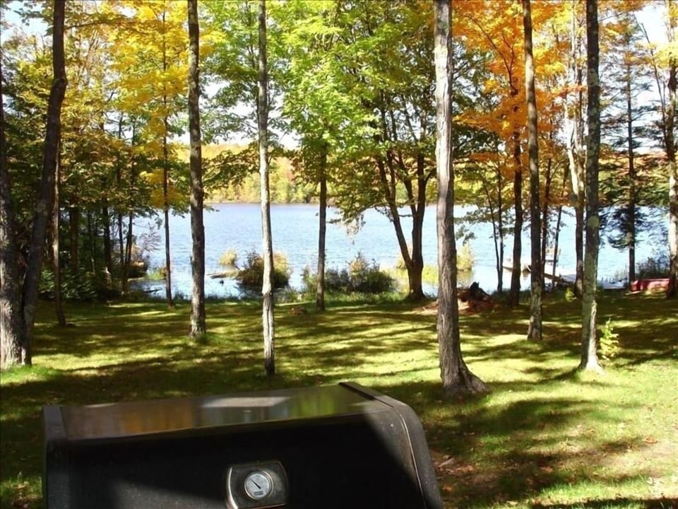 Watch the Kids Swim and Cook Your Favorite BBQ On the Downstairs Patio
