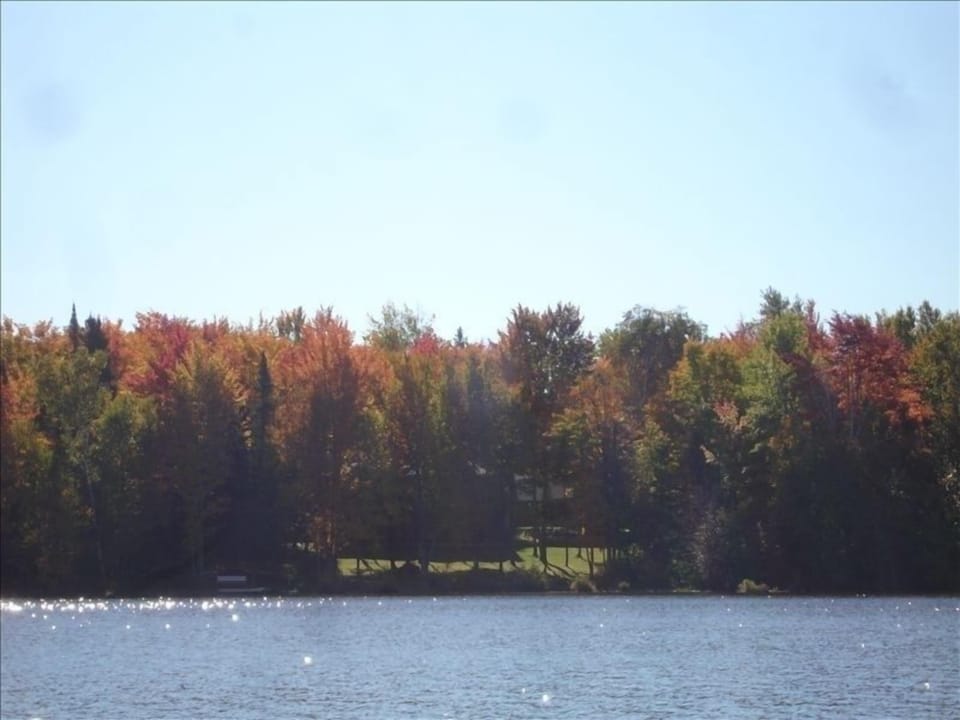 View From Across The Water- Total Privacy-