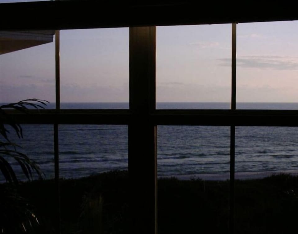 view from living room window
