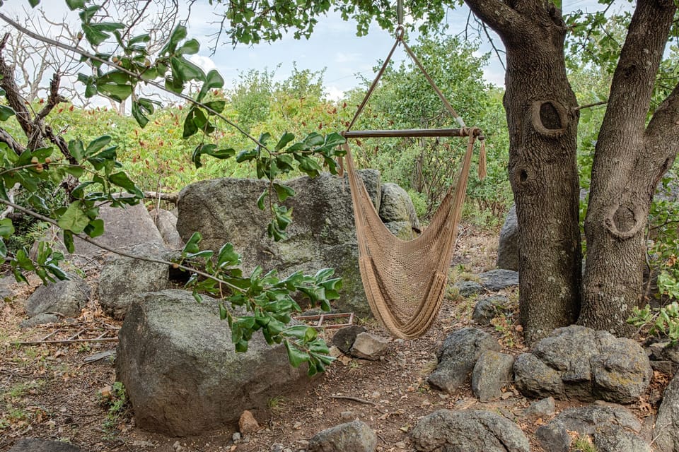 Relax for a while on our shaded hammock.