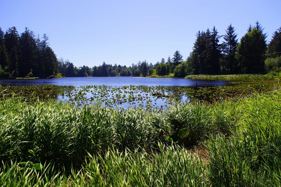 view from back yard - Black Lake is 30 acres