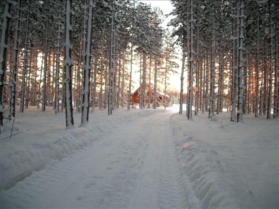 View of The Log Cab-Inn from the road - long drive way - quite -