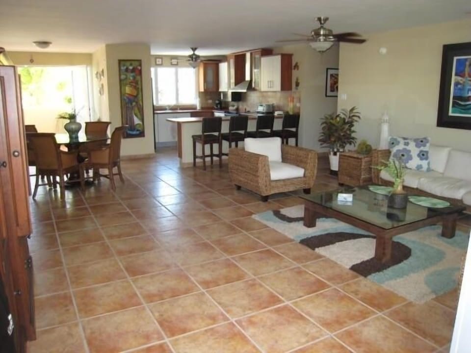 Open space plan with large living, dinning, kitchen area.