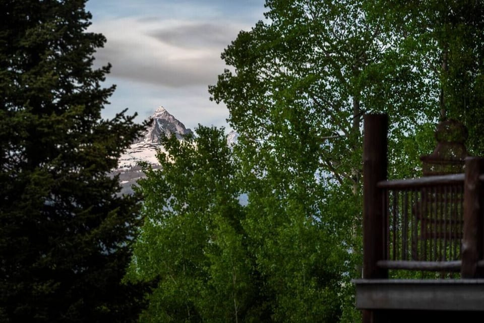 Teton View!