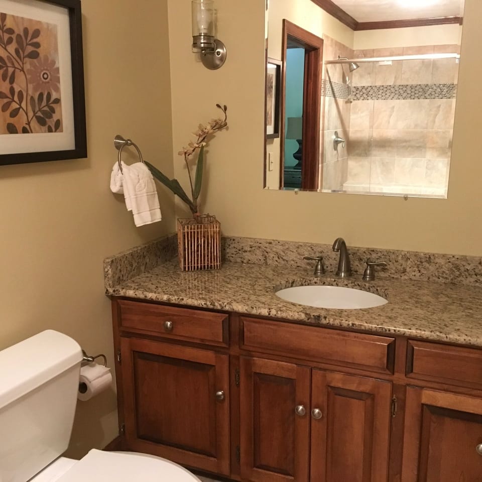 Main floor master bath