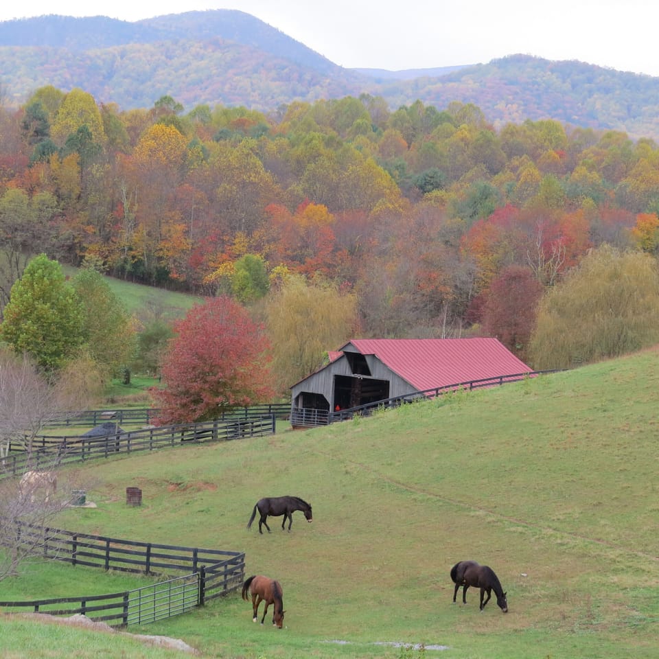 Fall colors just beginning