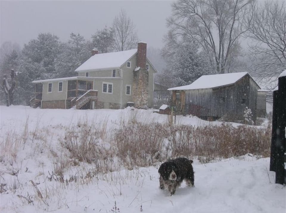 Winter Wonderland at Cardinal Springs! 