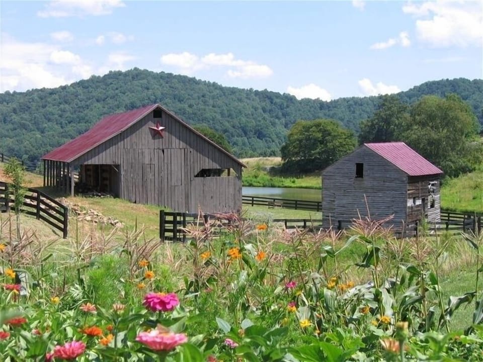 Summer garden with historic barn, grainery, and large pond in background