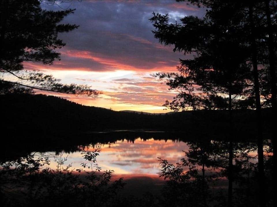 Nature's "Magic" Each Evening