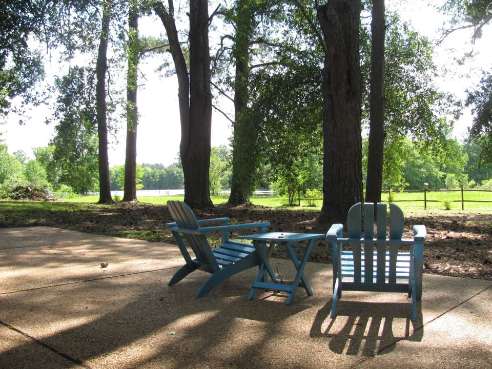 A view of the lake from the patio.
