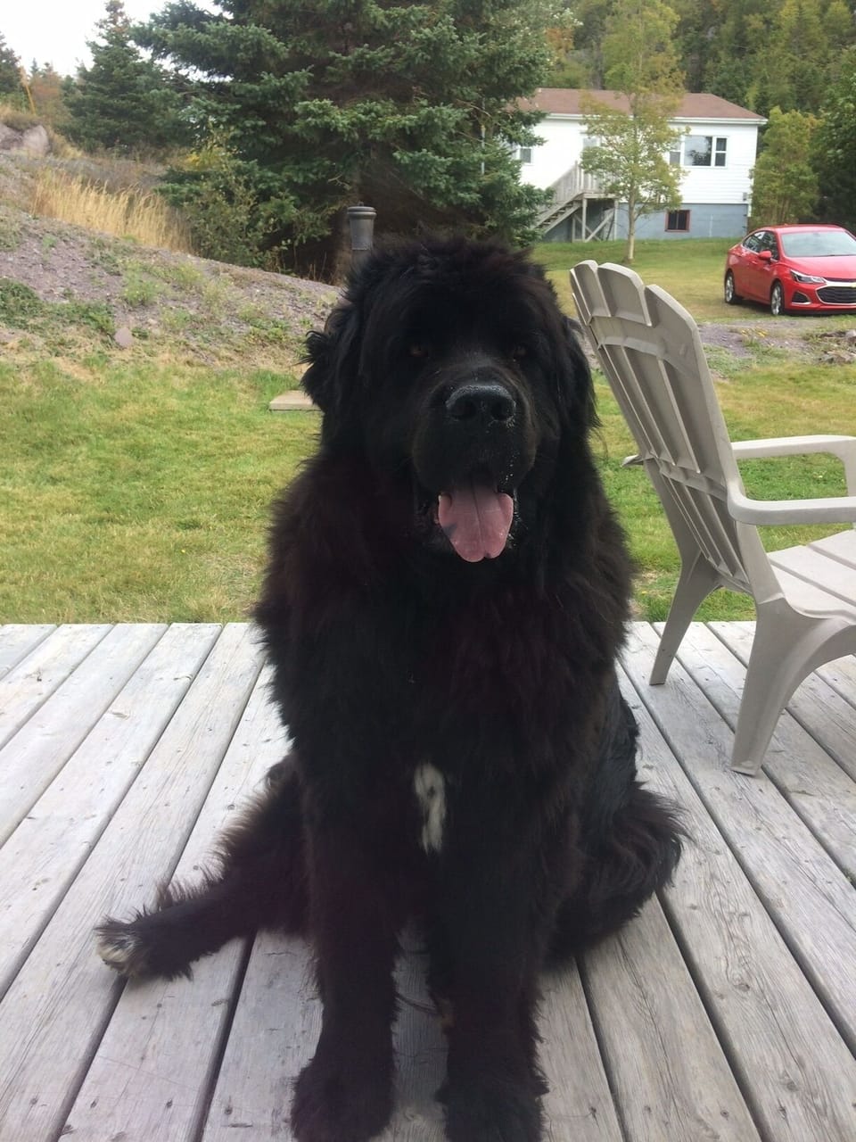 Sailor loves to visit!
