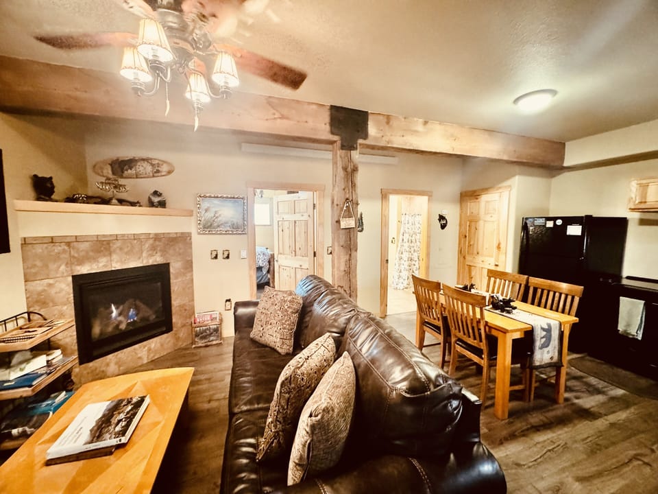 The living room with fireplace and fold out queen size couch