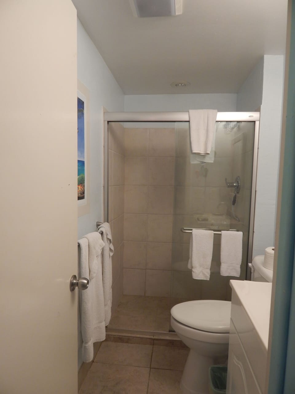 Master bathroom - renovated in 2012