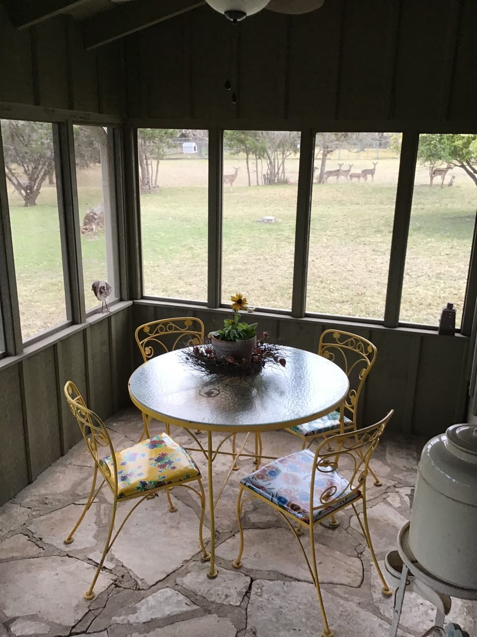 Screened in back porch for wildlife viewing!