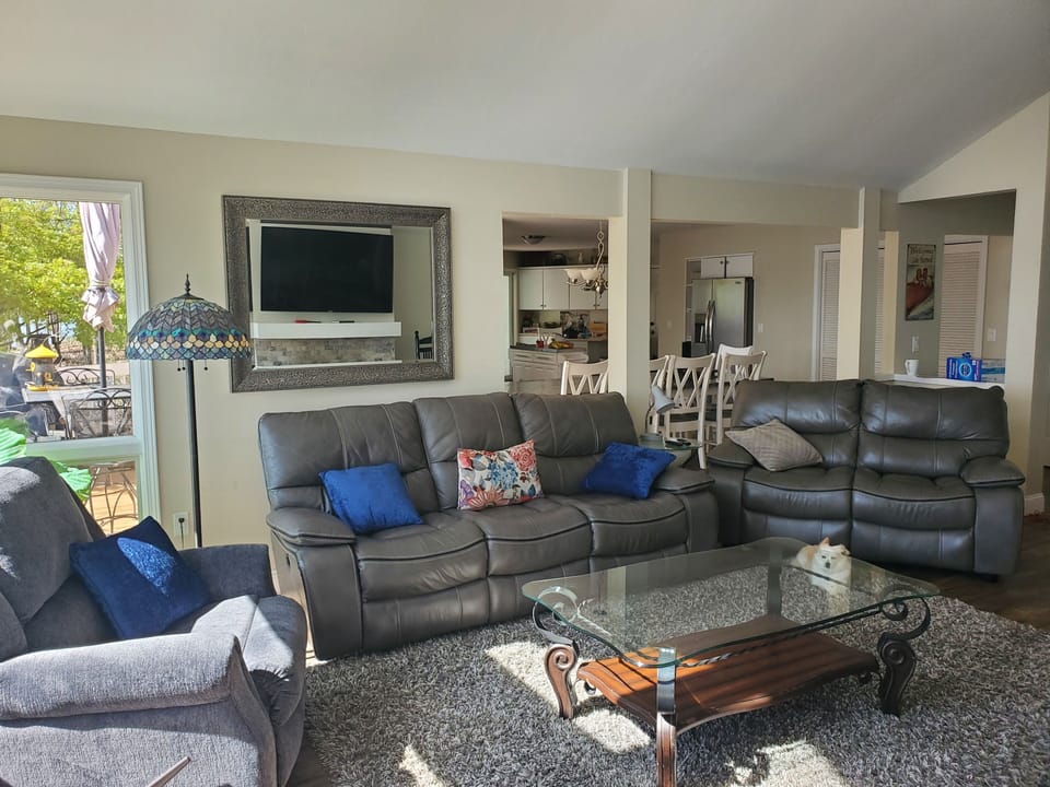 Comfortable furniture in the family room