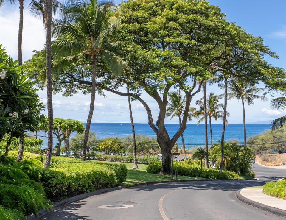Maui Kamaole Driveway 
Very Close to the Water