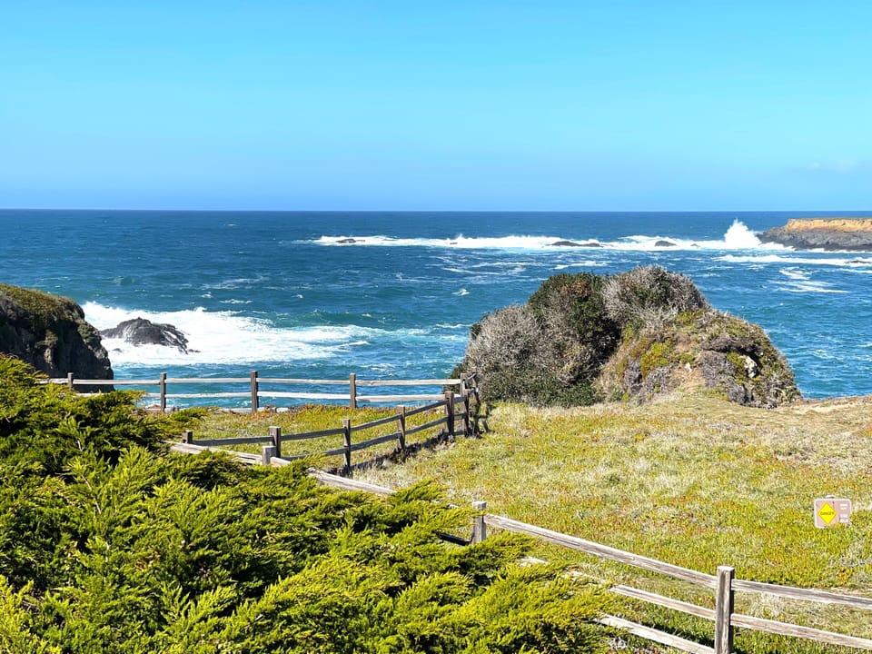 View CRASHING WAVES, migrating whales and birds from upper deck