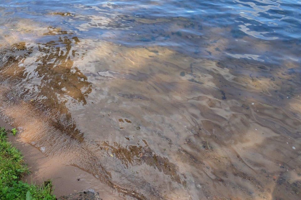 Sandy shore awaits you!