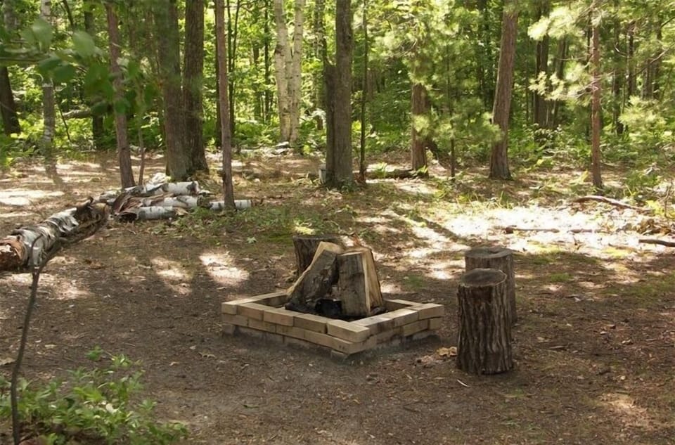 Wooded Side Yard