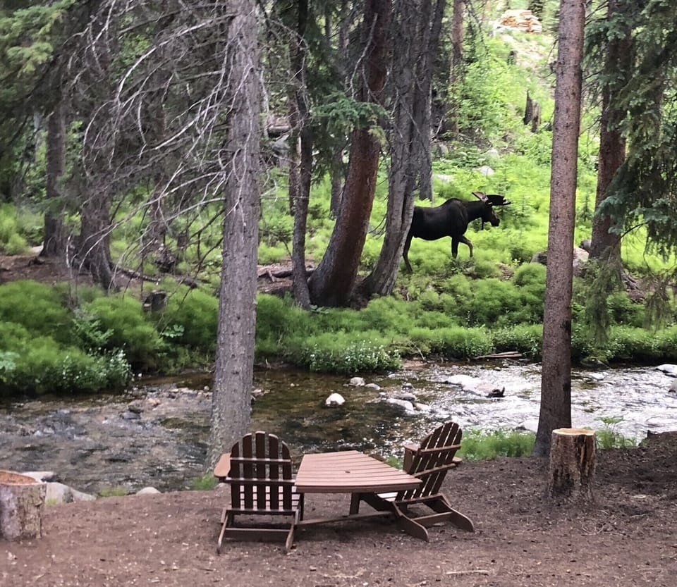 One of our views from our porch. 