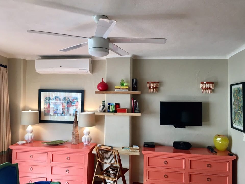 Living Area Wall, Desk,  & TV
