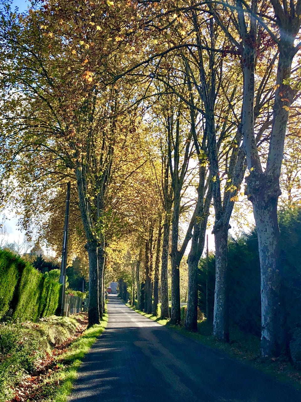 Gorgeous roads and lanes for walking and running year round