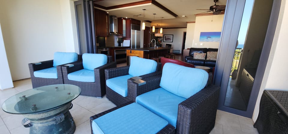 Luxurious front lanai chairs