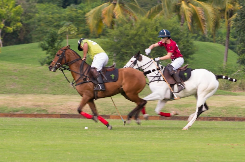 Polo Club and golf course are both within 3 minute drive