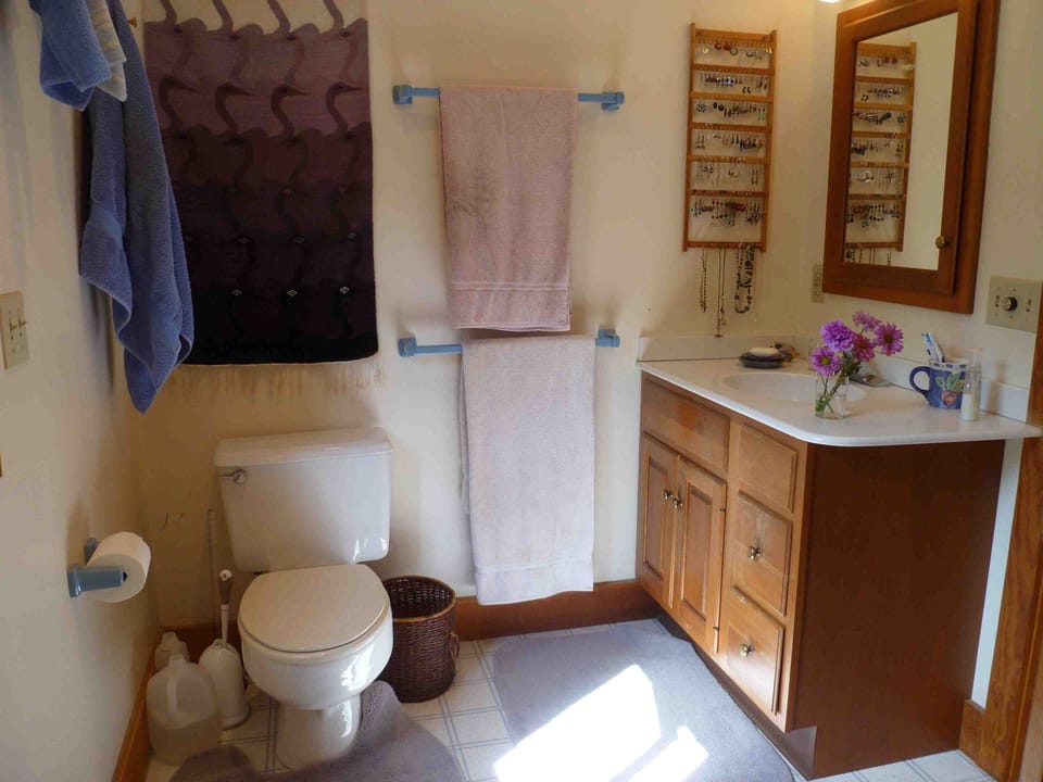 Upstairs bathroom-shower, shelves, cabinet, many towel racks,exhaust fan.