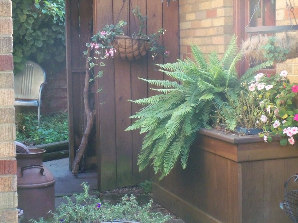 More of our lush gardens!