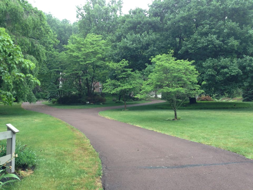 View from road up to house.