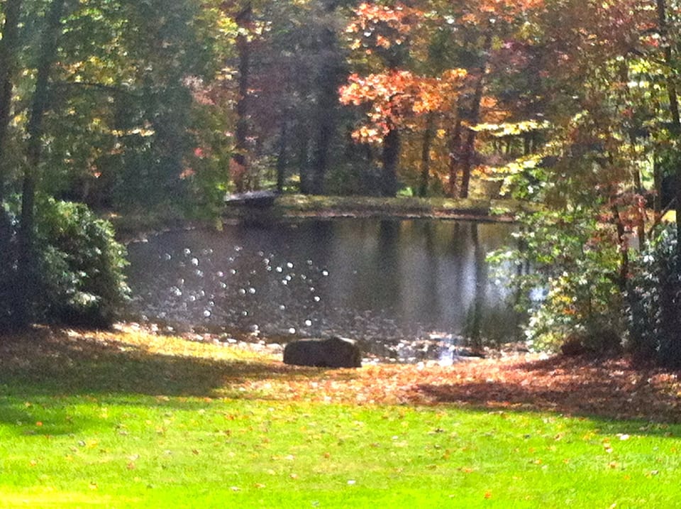 The Ponds at Nantahala Lake - a UNIQUE Smokey Mountain Retreat!