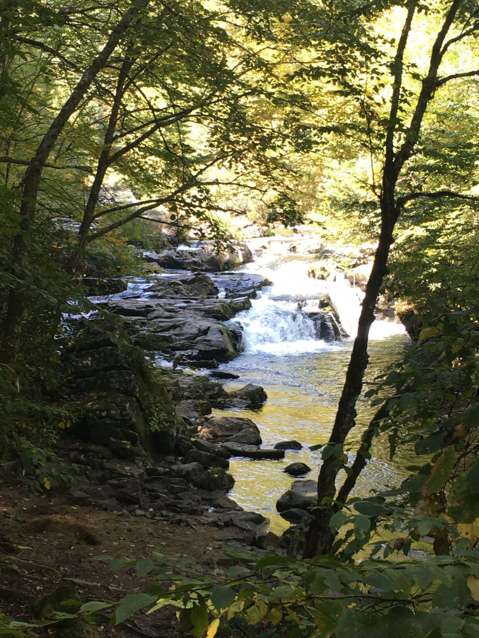 Turn right from our drive, less than 5 miles ahead on left is Old River Road