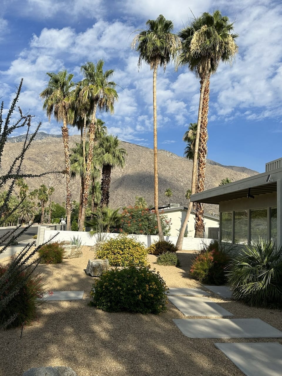 View of mountains from the front yard