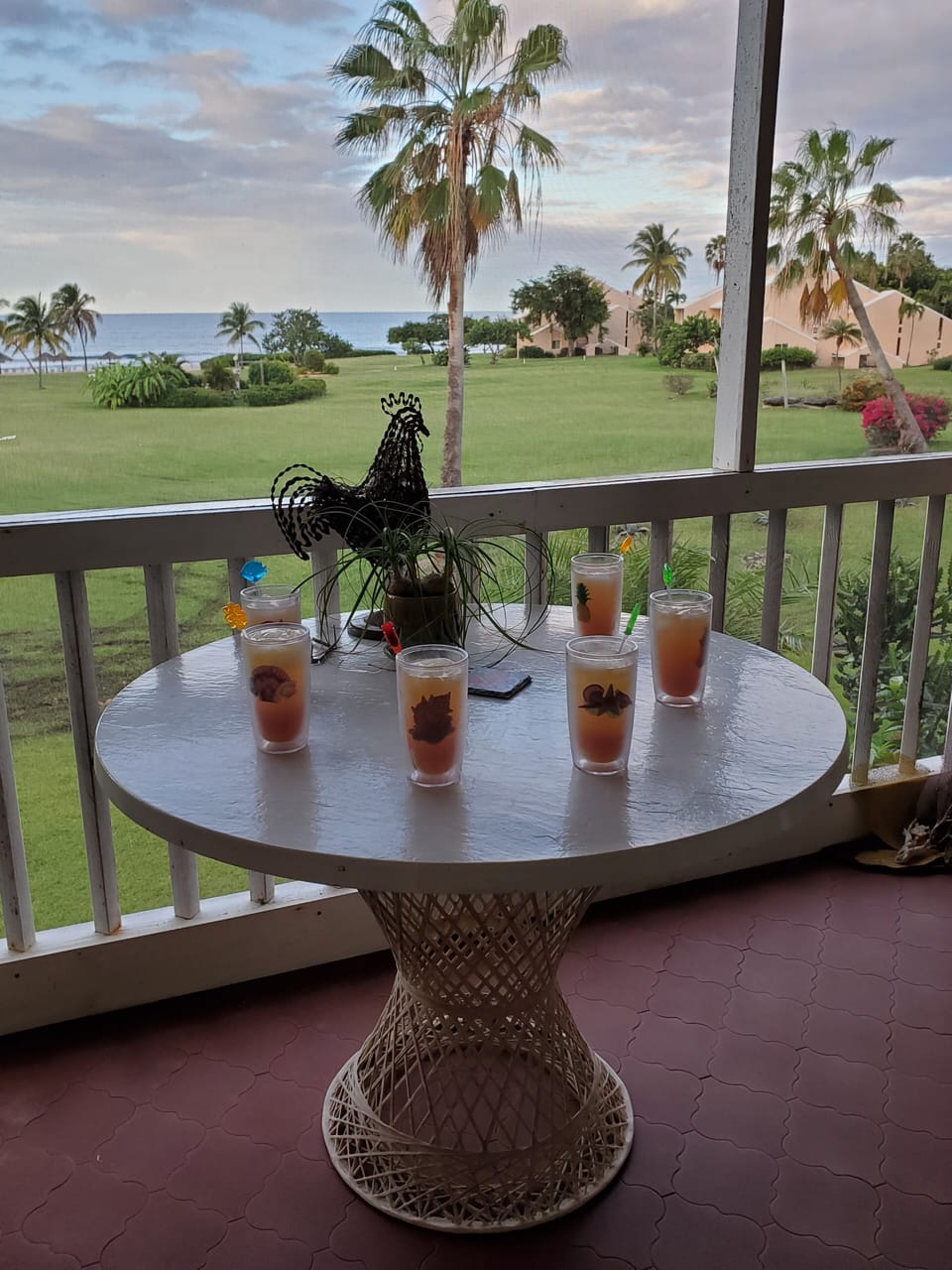 View from the screened veranda with your rum punches waiting.