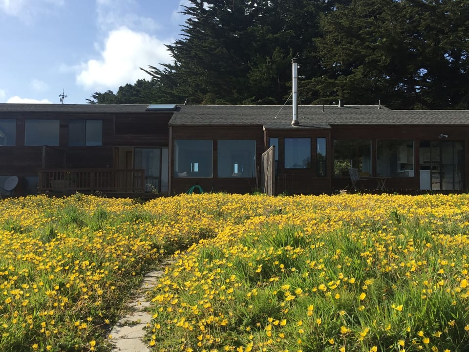 The back side of the house and deck.  Floor to ceiling glass offers great views