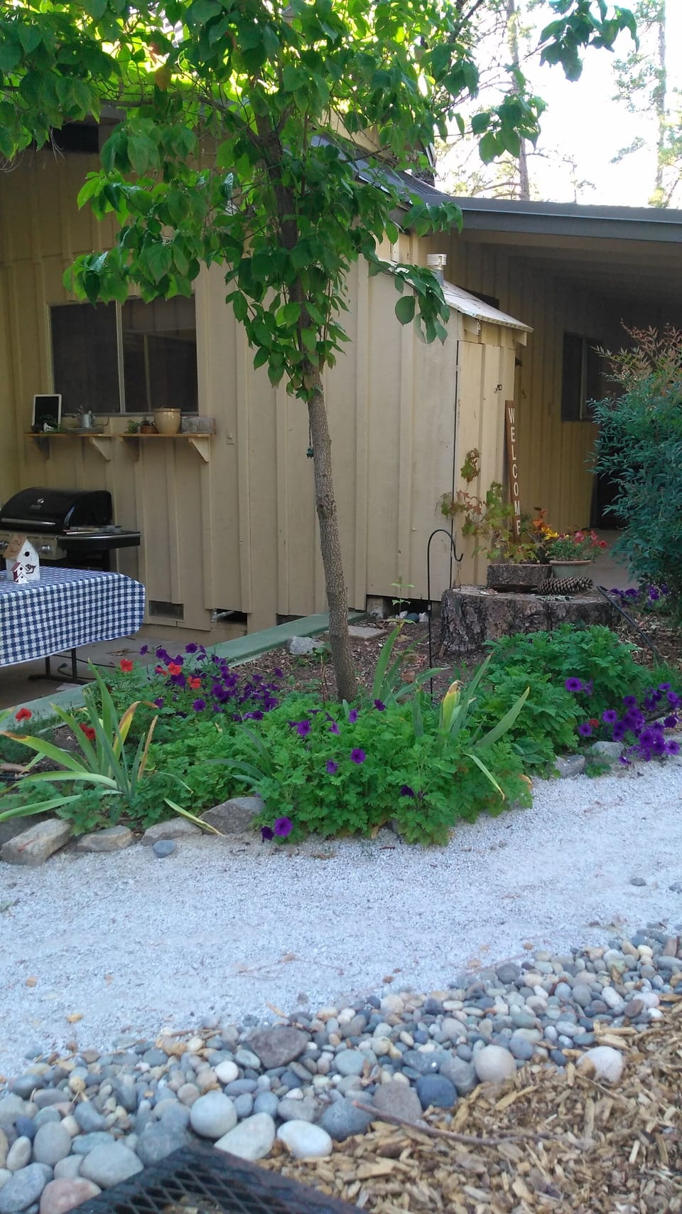 BBQ with large table for 10