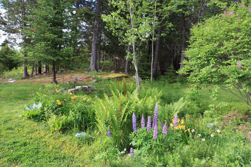 One of our flower beds