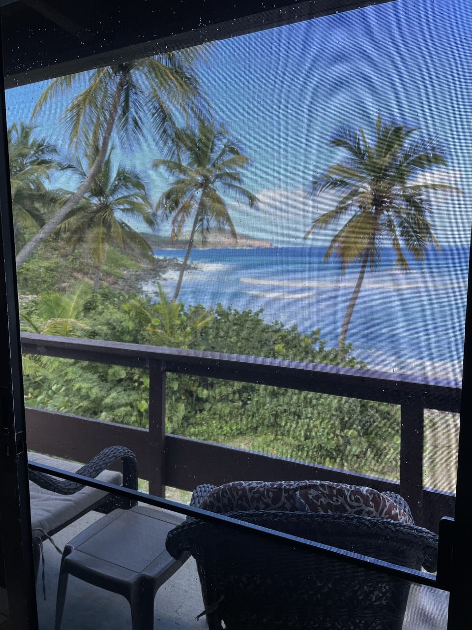 View from Living Room