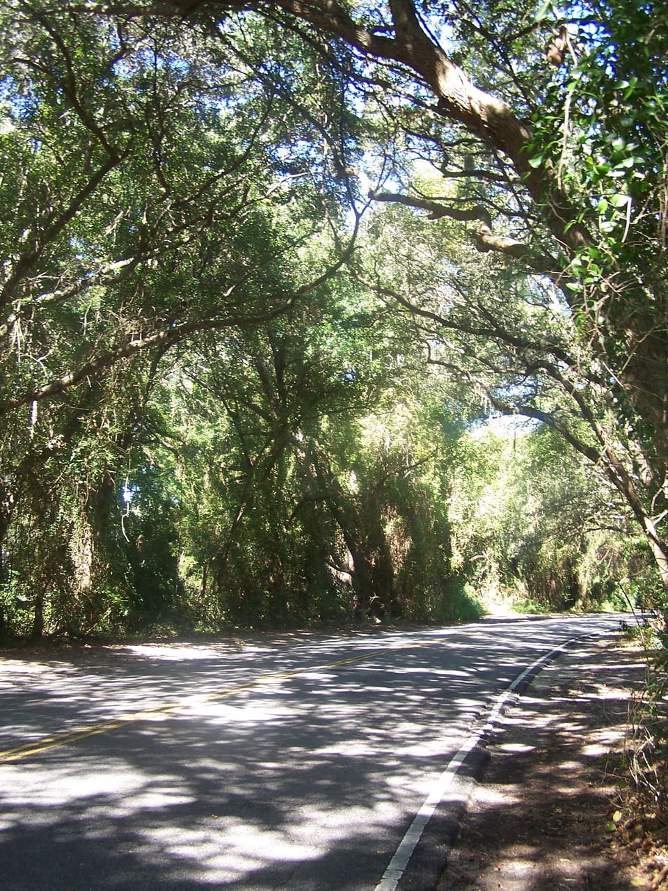 Road to Surf & Racquet