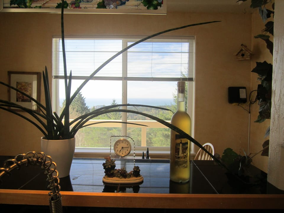 Peek into the breakfast nook or gaze at the ocean while washing dishes.