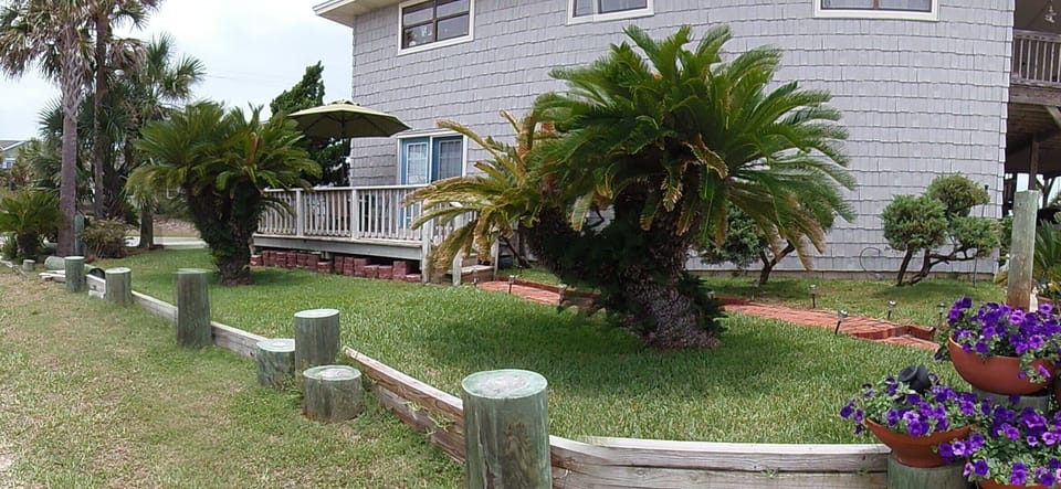 Side deck with sago plams, nice yard
