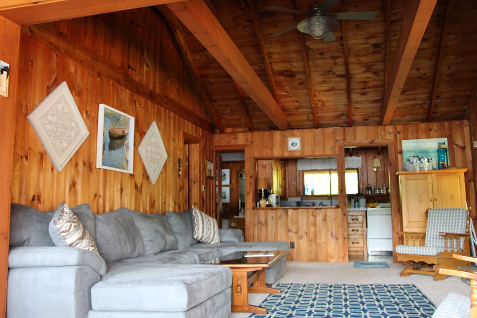 Living room with new sleeper sofa