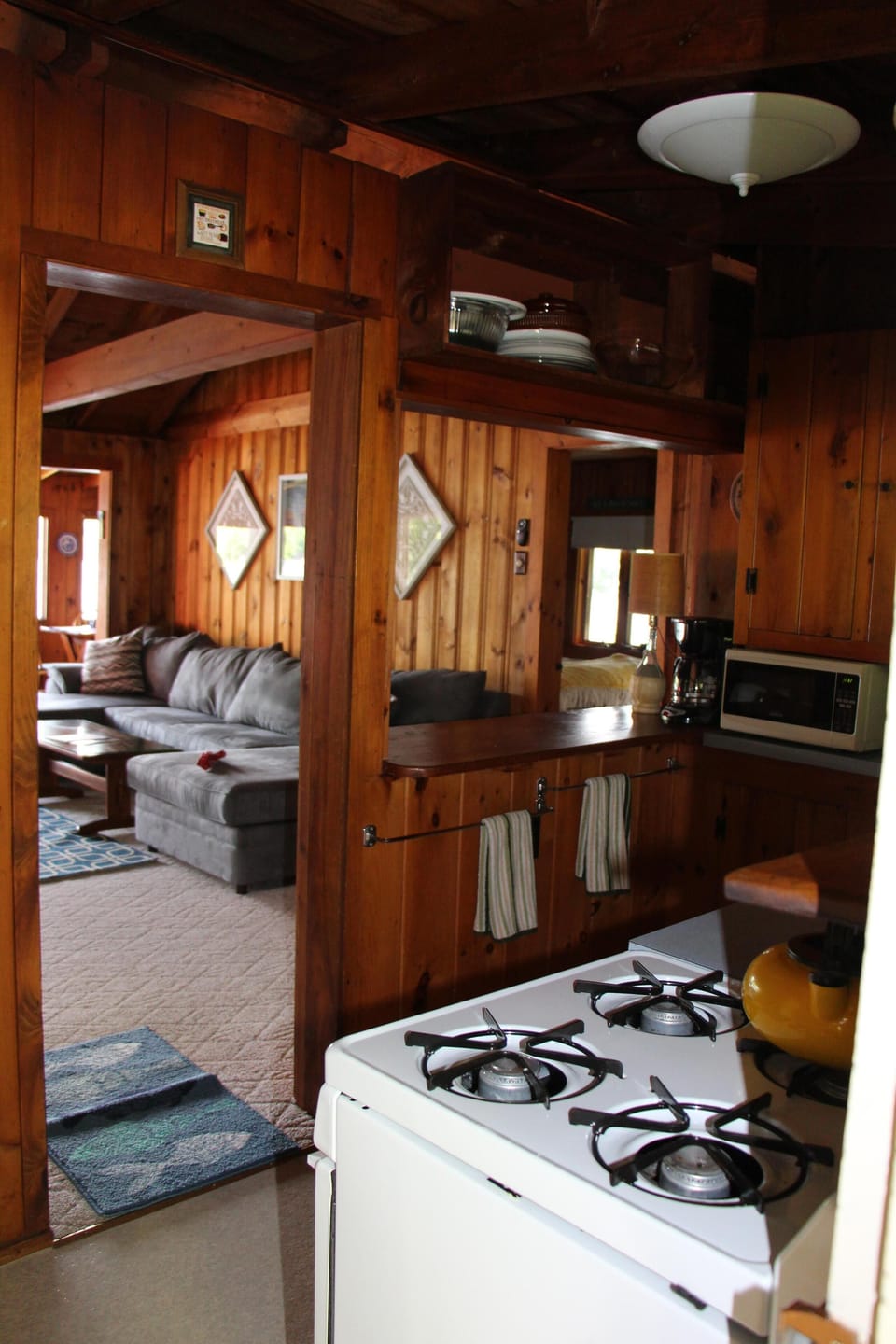 Kitchen and Living Room Area